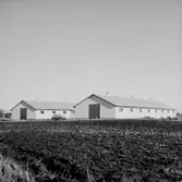 Stubbetorps Kontrollhönseri, byggnader, en bil.