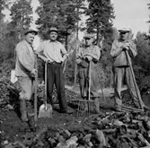 Kolning, kolare och kolmila.