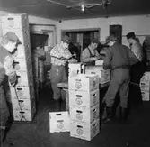 Hammars glasbruk, interiör, tillverkning av lådor.