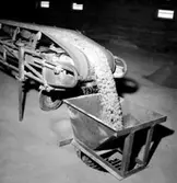 Hammars glasbruk, interiör, transportband.