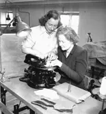 Skoyrkesskolan, interiör, två kvinnor.