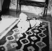 Rumsinteriör, ett litet barn.Sjunnesson