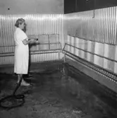 Konsum Bageriet, interiör, en kvinna, lådtvätt.