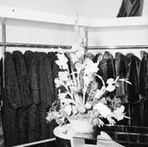 Special Päls, affärsinteriör.