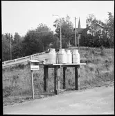 Mjölkbord  Högsäter