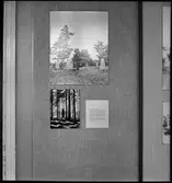 Trollhättan. Utställning: Fornminnesvård - Fornkyrkogård 7/7-14/9.