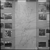 Trollhättan. Utställning: Fornminnesvård-Landskapsvård. 7/7-14/9-1969.