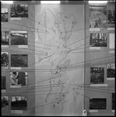 Trollhättan. Utställning: Fornminnesvård-Landskapsvård. 7/7-14/9-1969.