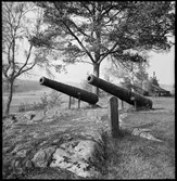 Ödeborg, Fornsalskullen.