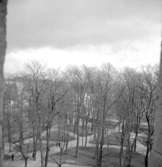 Örebro, Slottsparken.
28 april 1939.