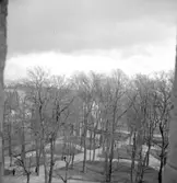 Örebro, Slottsparken.
28 april 1939.