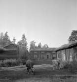 Bostadshus och ekonomibyggnader.
10 juni 1939.