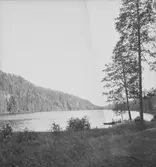 Sjöutsikt.
10 juni 1939.