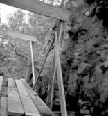 Riseberga klosterruin.
22 juli 1939.