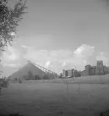 Sirsjöberg, gruvor.
17 augusti 1939.