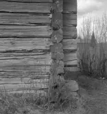 Kullängsstugan, exteriör.27 april 1939.