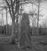 Glottra, fornlämningar.
21 april 1939.