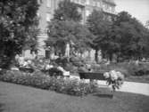 Örebromotiv. Centralparken med statyn Befriaren.
27 augusti 1940.