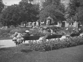 Örebromotiv. Centralparken med statyn Befriaren.
27 augusti 1940.