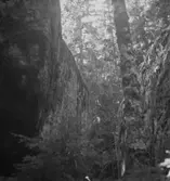 V. Sund, fornlämningar.
7 juli 1941.