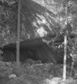 V. Sund, fornlämning, skogsparti.
16 juli 1942.
