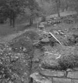 Riseberga klosterruin.28 september 1942.