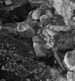 Riseberga klosterruin.
30 september 1943.