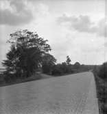 Ramundeboda.7 september 1943.