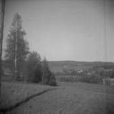 Linde, utsikt.
1943.