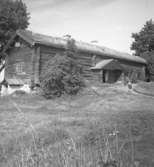 Kullängsstugan, exteriör.10 augusti 1946