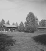 Pukestugan.25 september 1946
