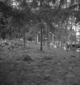 Lungersåsen, bostadshus.4 oktober 1946