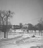 Alkvettern, bostadshus.
14 mars 1946