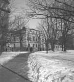Karolinska läroverket, biblioteket.
18 mars 1946