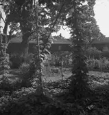 Siggebohyttans bergsmansgård, exteriör.
27 juli 1947