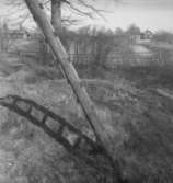 Bostadshus.25 mars 1949.