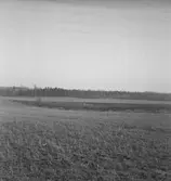 Frösvi. Utsikt.
25 mars 1949.