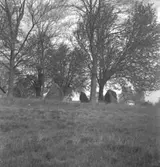 Norrby, fornlämningar.
6 maj 1949.