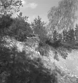 Sörby, fornlämningar.
10 maj 1949.