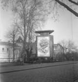 Reklam på teaterplan, Örebro.
16 november 1950.