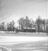 Kungsstugan, exteriör.
27 mars 1951.