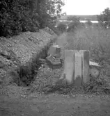 Kägleholms slottsruin.
14 augusti 1951.