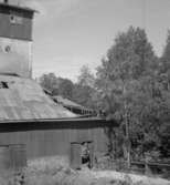 Lindesby hytta, exteriör.
22 juli 1951.