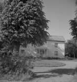 Bostadshus.10 juli 1952.