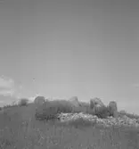 Hammar, Norrbyås socken. Domarringar.
27 juni 1952.