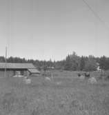 St. Älberg, byggnader.
26 juni 1952.