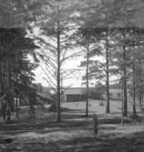 Ånnebrunn, domarringar.
26 juni 1952.