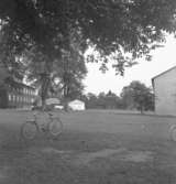 Kopparbergs kyrka och byggnader.
14 juli 1953.