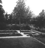 Siggebohyttans bergsmansgård, trädgården.
23 augusti 1953.