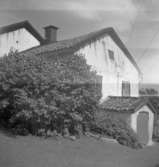 Bostadshus. Nora, kvarteret Fisken 8.
juli - augusti 1954.